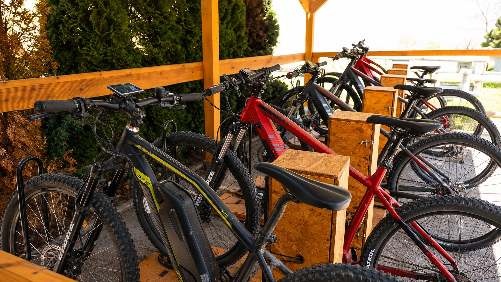 Biciclette elettriche